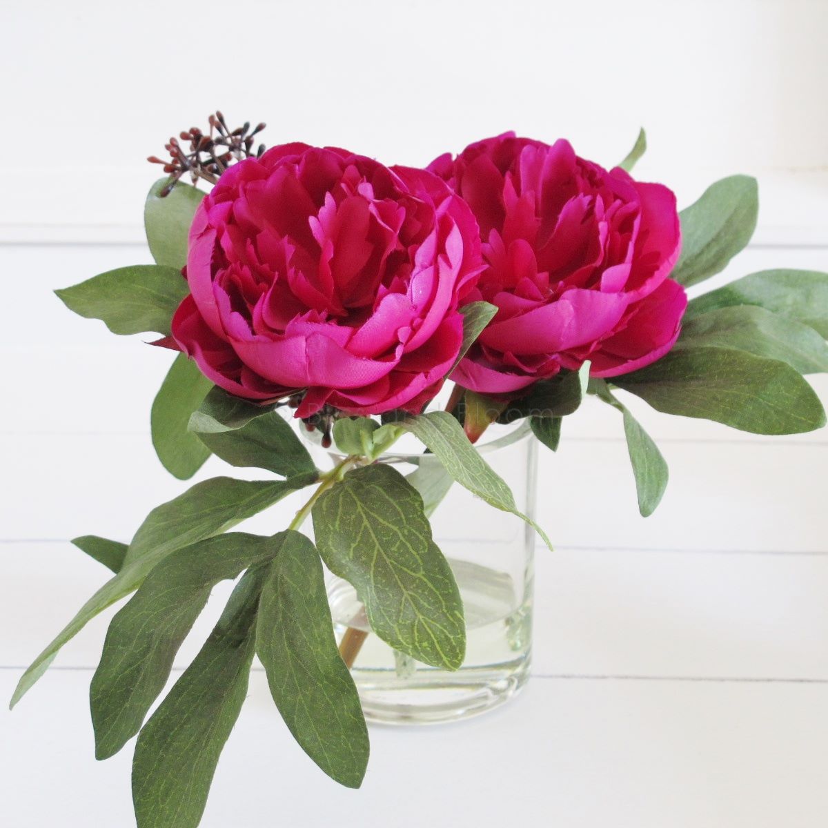 Peonies in a vase SECONDS Bliss and Bloom
